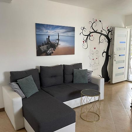 Apartmani Kristo Zadar Exterior photo